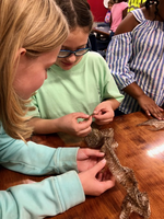 Pal Class Show and Tell
